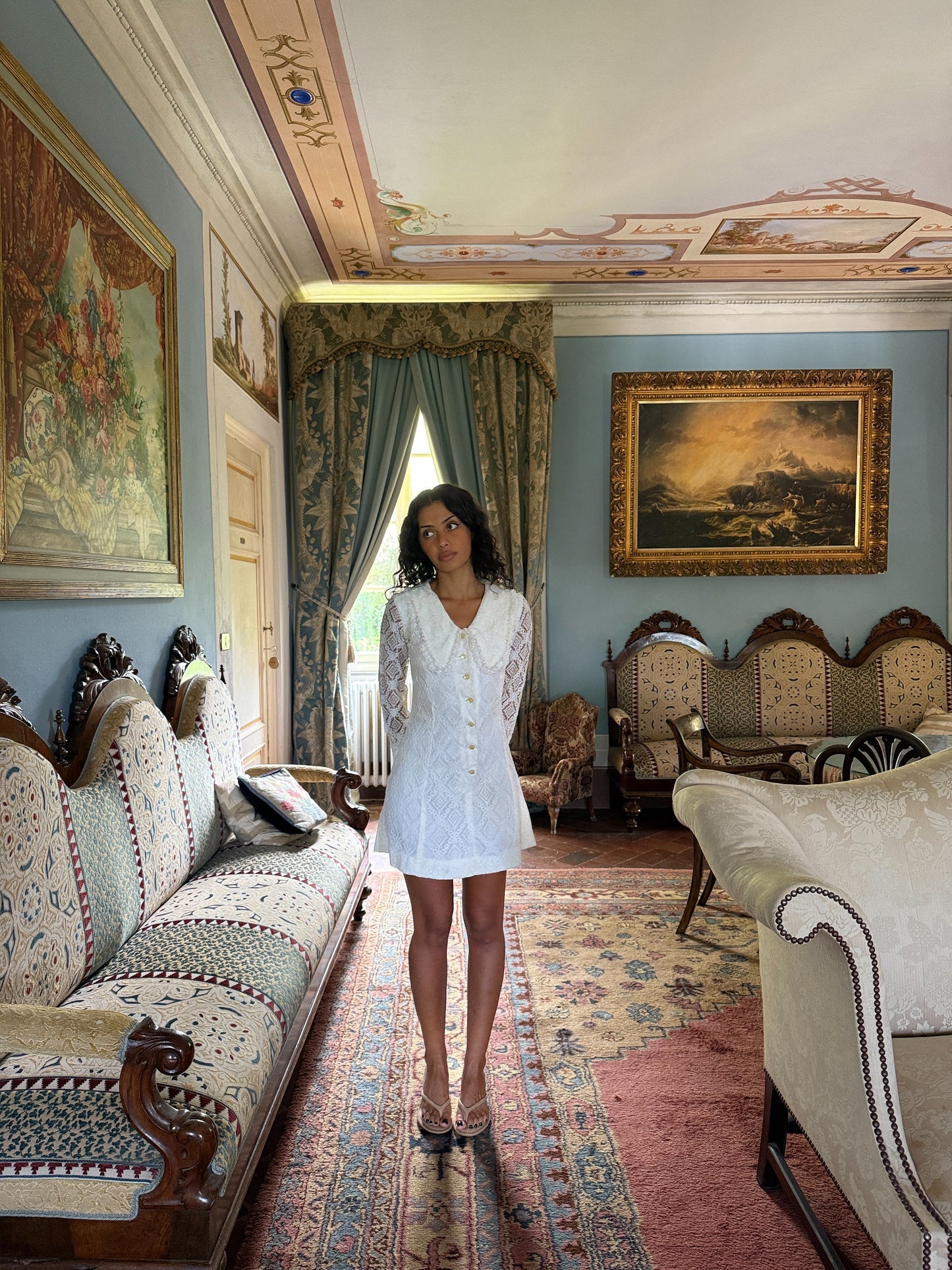 Antoinette Lace Button-Front Mini Dress White (XS-S)