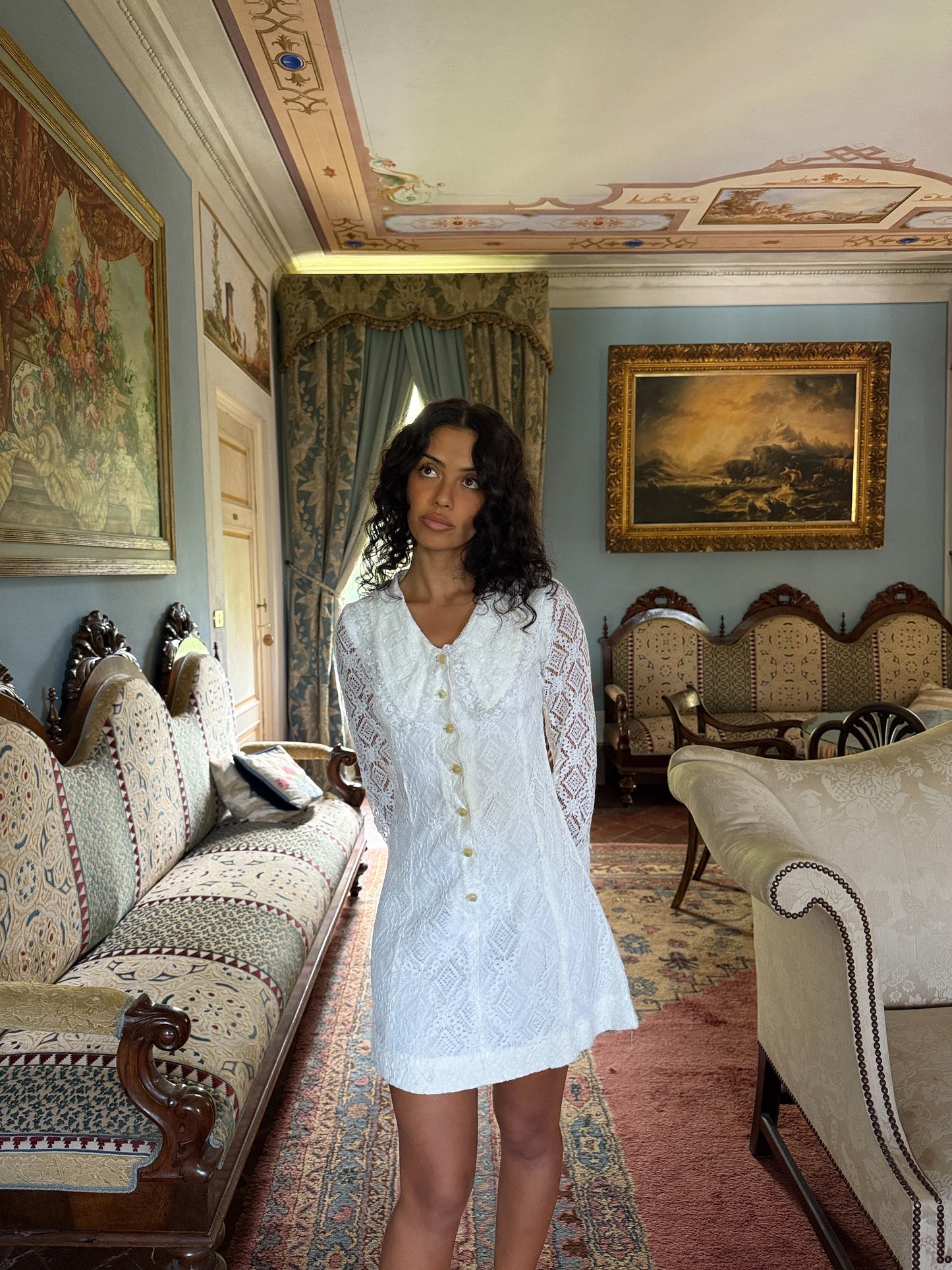 Antoinette Lace Button-Front Mini Dress White (XS-S)