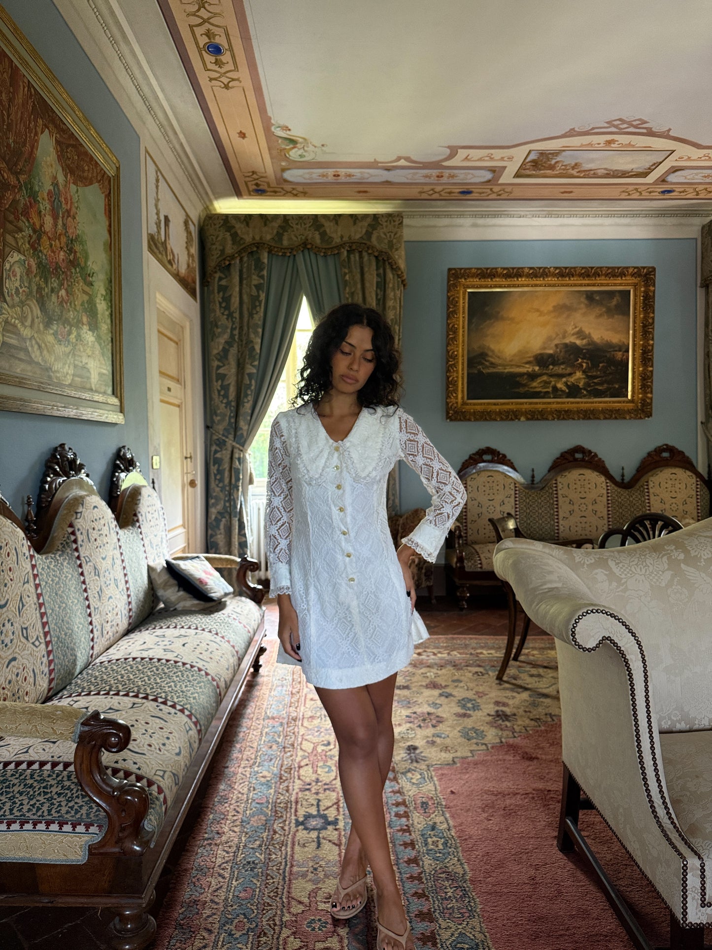 Antoinette Lace Button-Front Mini Dress White (XS-S)